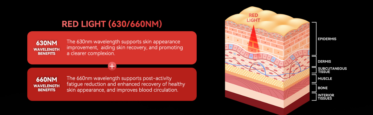 Diagram of skin layers with red light damage and repair text on a black background