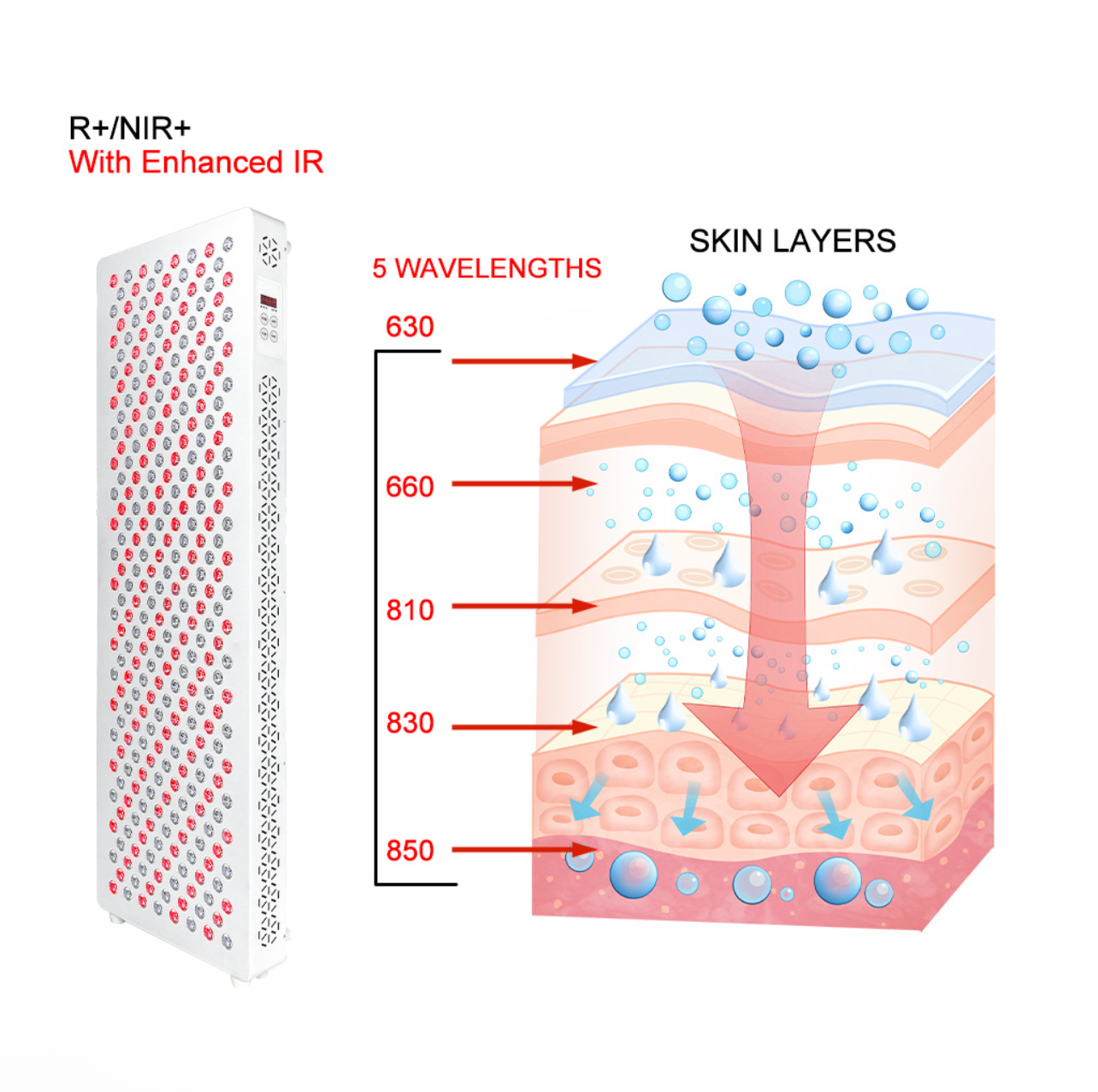 Diagram of skin layers with a device labeled 're:Nite' on a smartphone screen.