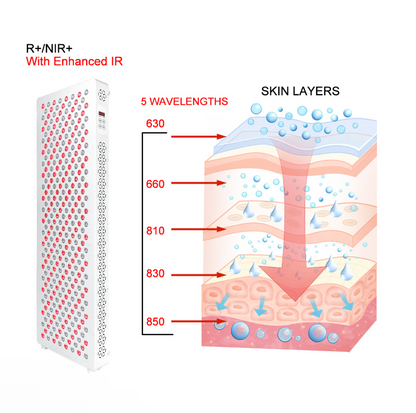 Diagram of skin layers with a device labeled 're:Nite' on a smartphone screen.